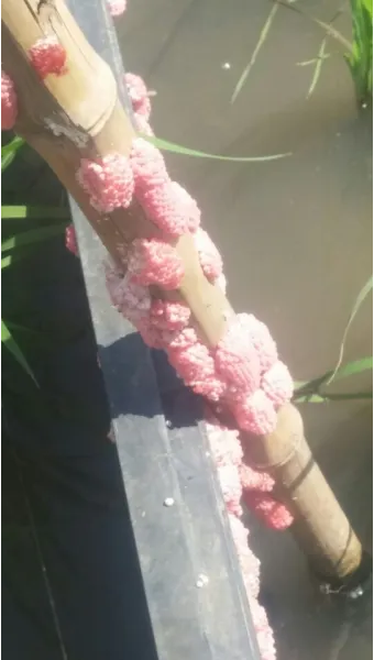 직거래 판매 준비 포장 가격 온라인마켓 택배 규정_23