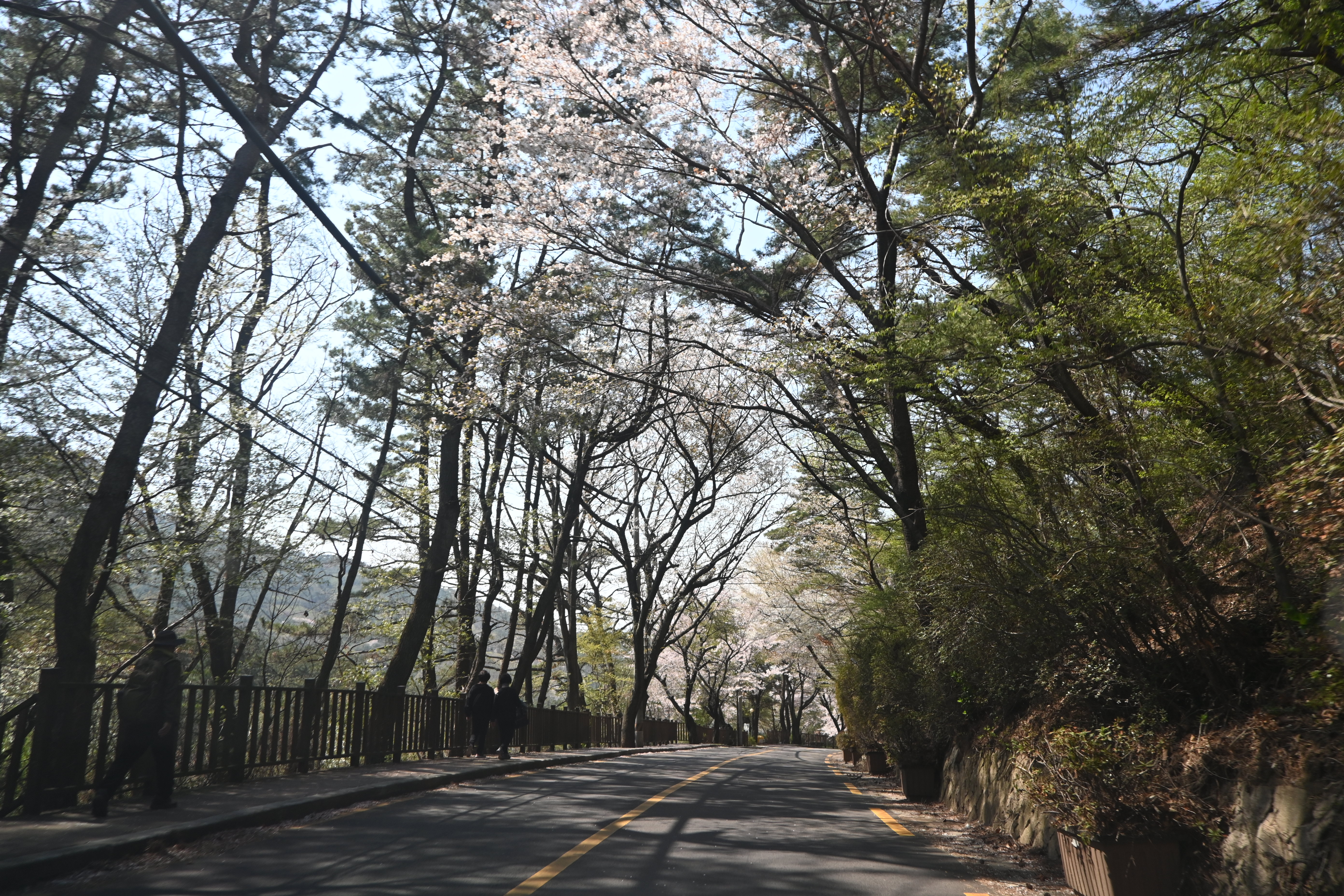 금정산성 드라이브 길