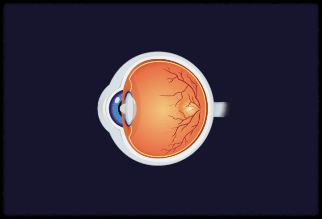 눈으로 보는 건강 신호: 갑상선저하증부터 폐암까지 안질환 증상 파헤치기