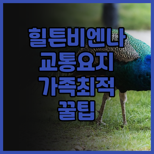 힐튼 비엔나 파크 후기! 가족 여행에..