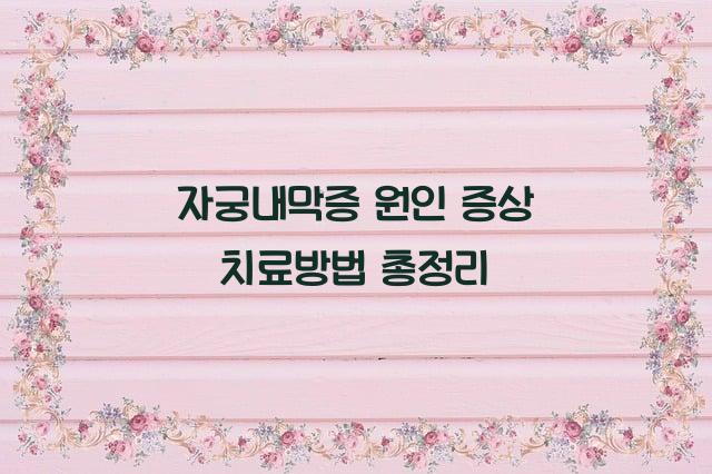 자궁내막증 원인 증상 치료방법