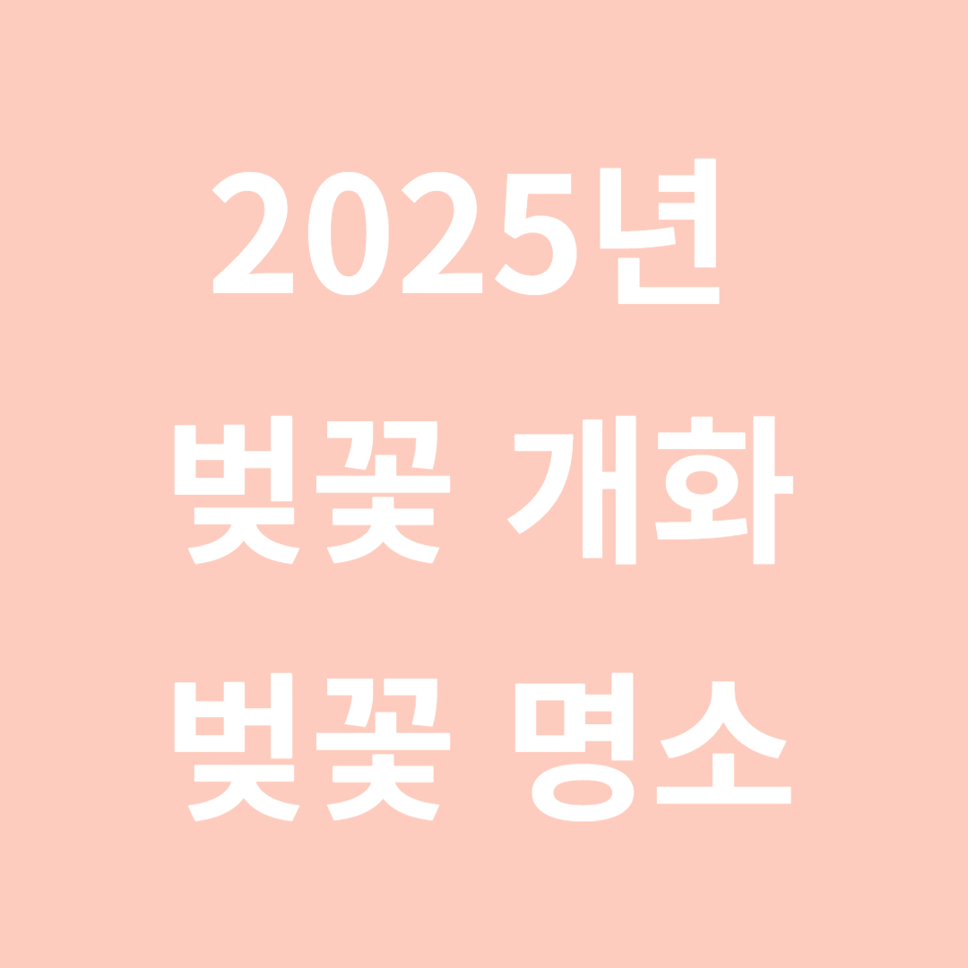 [2025년 벚꽃 개화시기 + 전국 명소 + 화담숲 예약 가이드]