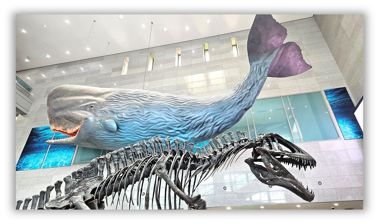 서대문 자연사 박물관