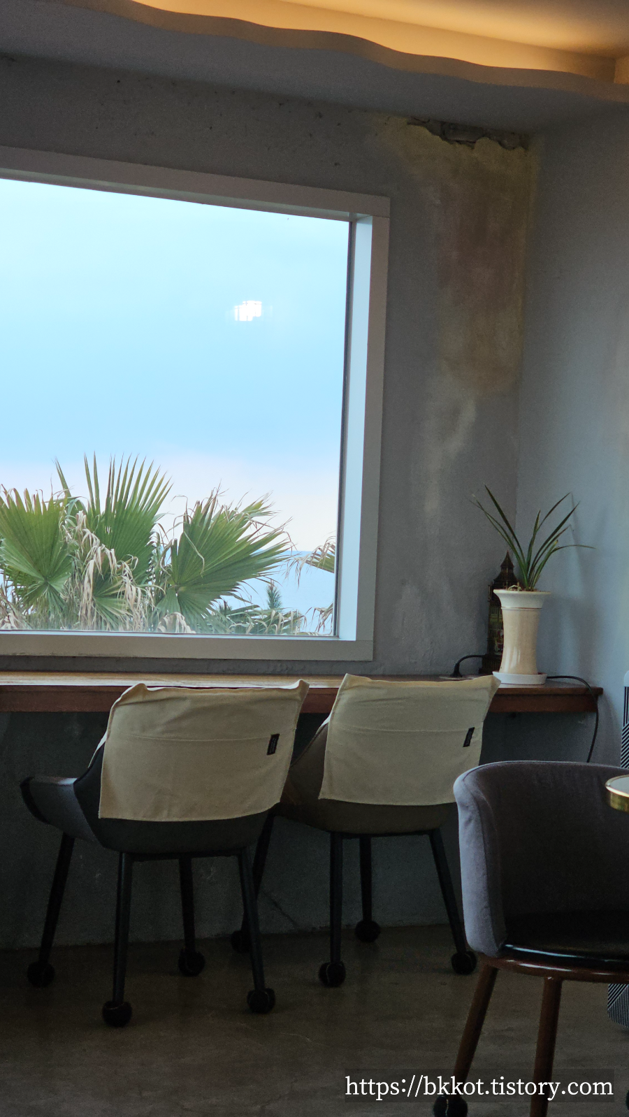 제주도 카페물썹