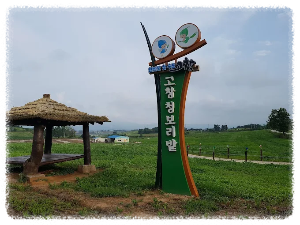 보리나라 학원농장