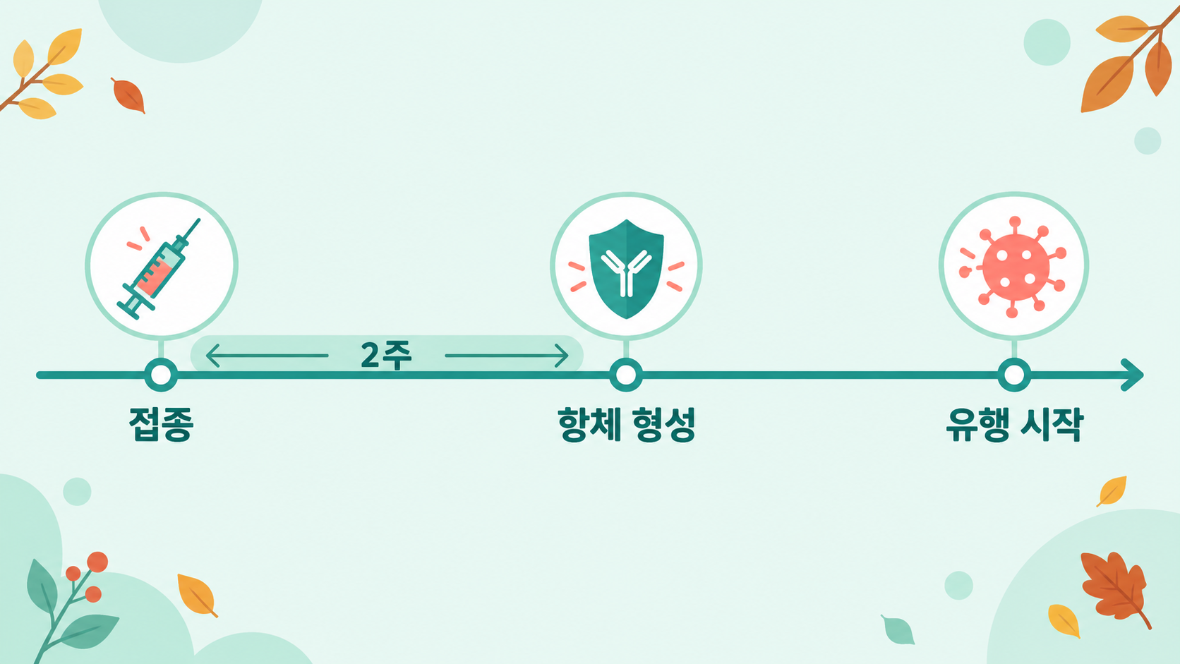접종 시기 타임라인