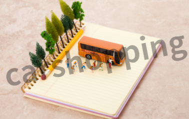 고속도로 버스전용차로 위반