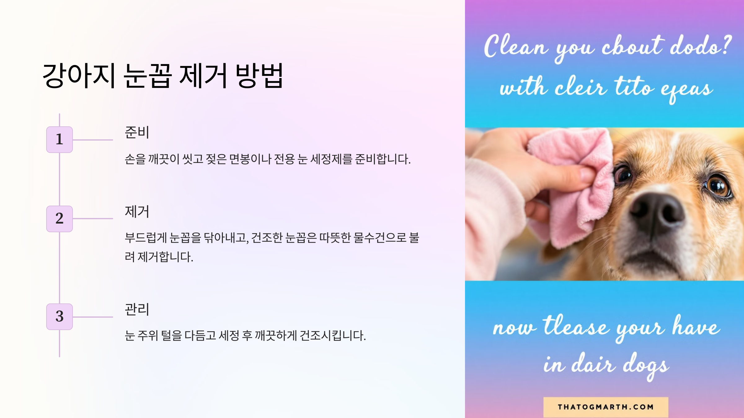 강아지 눈꼽 제거 방법