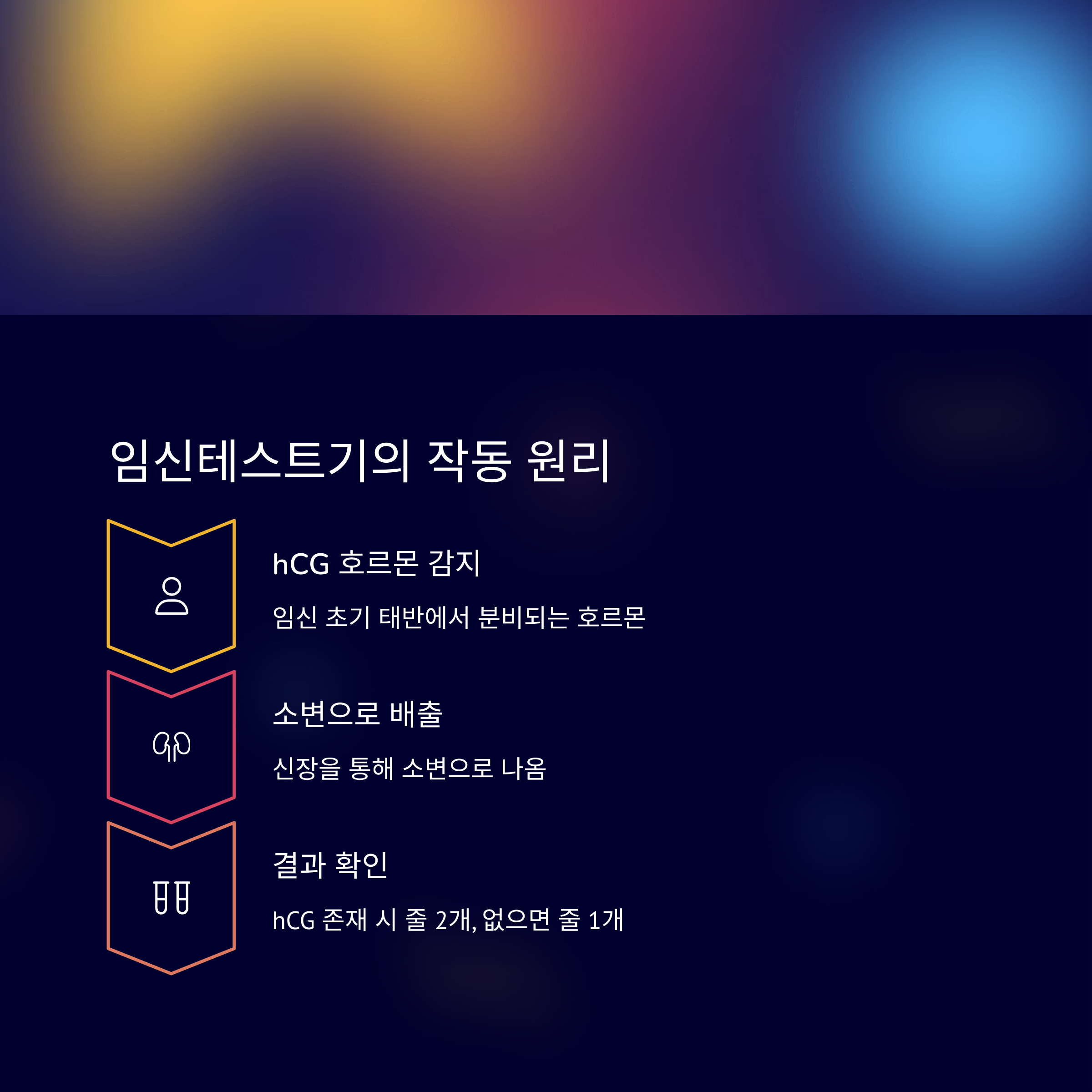 임신테스트기의 작동 원리를 설명한 인포그래픽: hCG 호르몬 감지, 소변 배출, 결과 확인 과정 설명