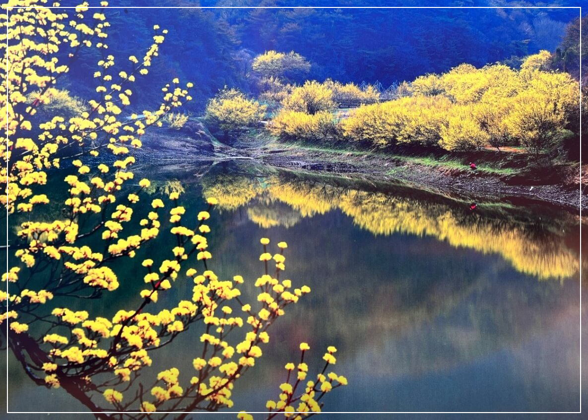 의성 가볼만한곳 베스트10 산수유꽃피는마을