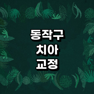 서울 동작구 교정 치과