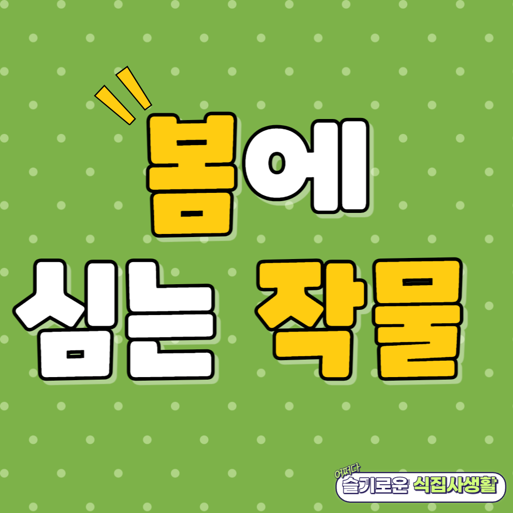 봄에 심는 작물