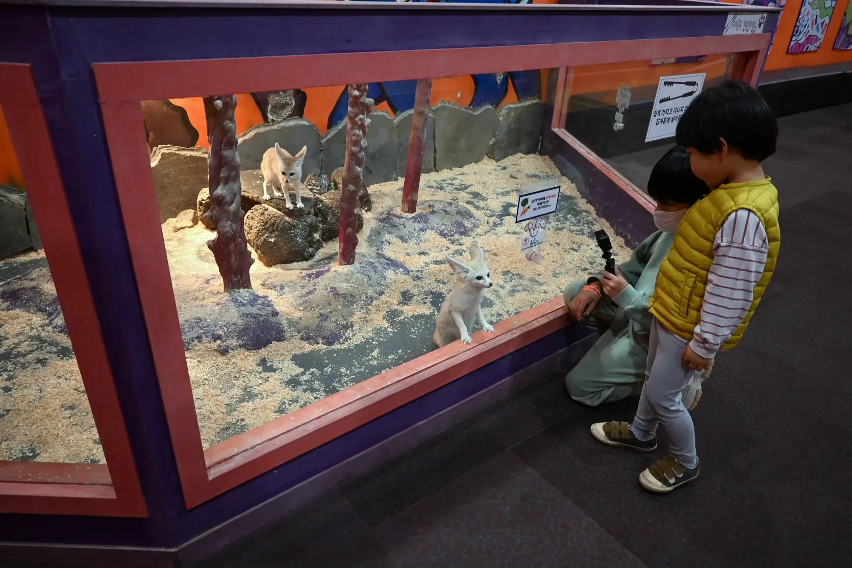 기흥 하이브패밀리 테마파크 온가족이 즐기는 동물원이 있는 키즈카페 사진 9