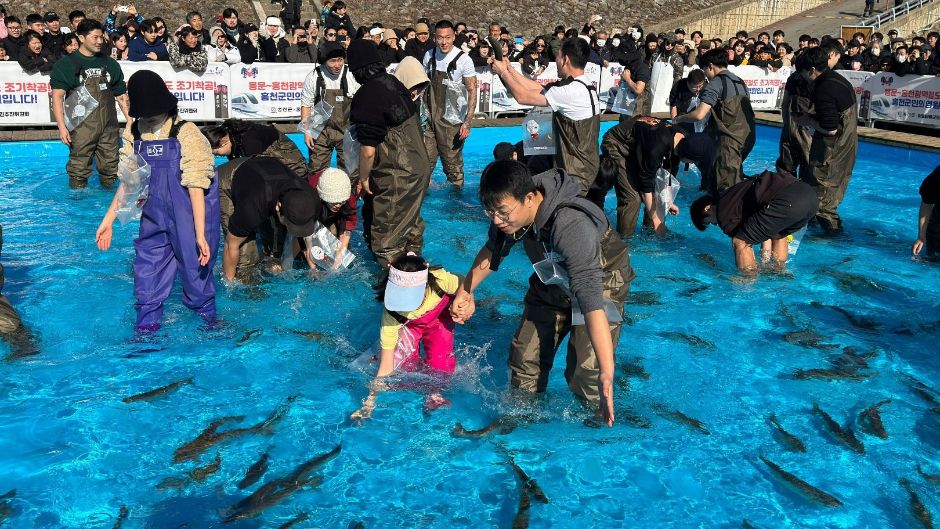 전국 빙어 축제 티켓 예약 및 무료 주차장 가이드