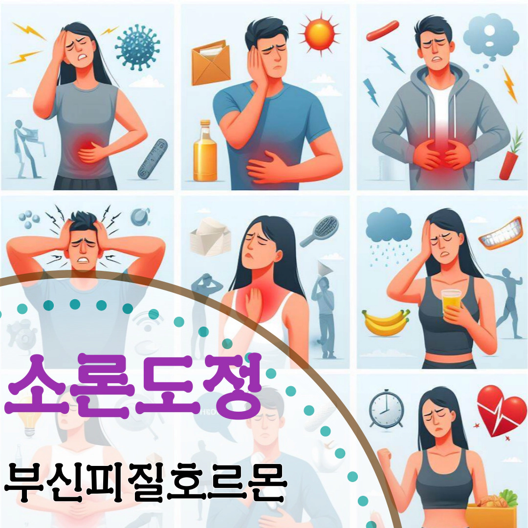 소론도정 부신피질호르몬