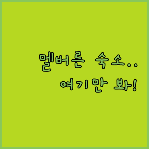 멜버른 여행 숙소 추천 5곳 도심 역..