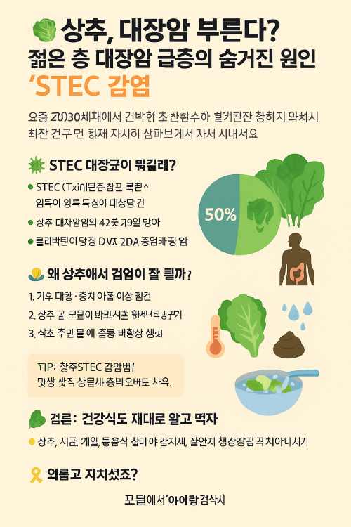 상추 대장균, 젊은 대장암 원인, STEC 감염, 잎채소 감염 위험, 상추 세척법, 대장암 예방' 콜리박틴 독소, 대장암 초기 증상