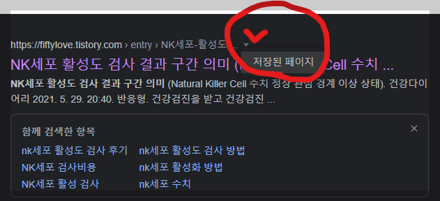 구글 검색결과 삭제된 글의 저장된 페이지 확인 화면 사진