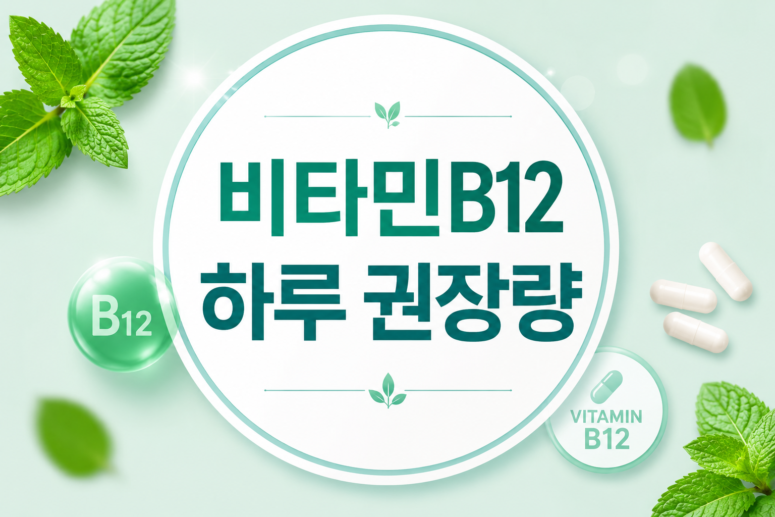 비타민B12 하루 권장량