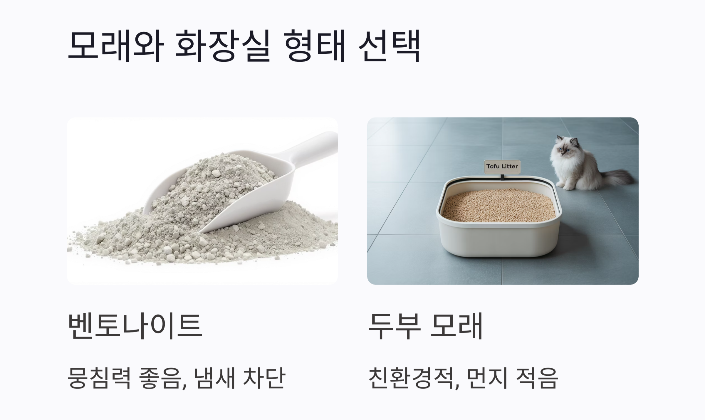 고양이의 화장실 문제, 원인부터 해결까지 한 번에 정리