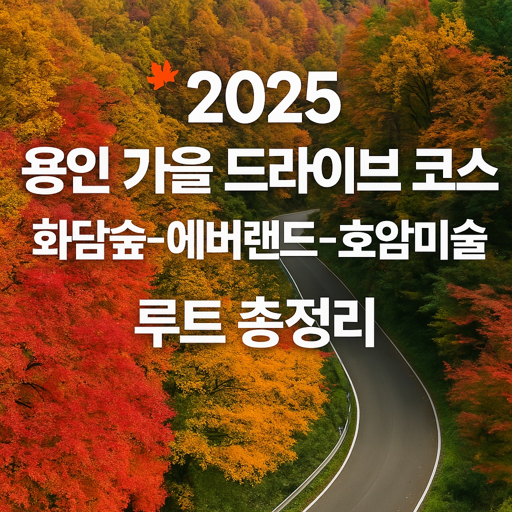 2025 용인 가을 드라이브 코스|화담숲–에버랜드–호암미술관 루트 총정리