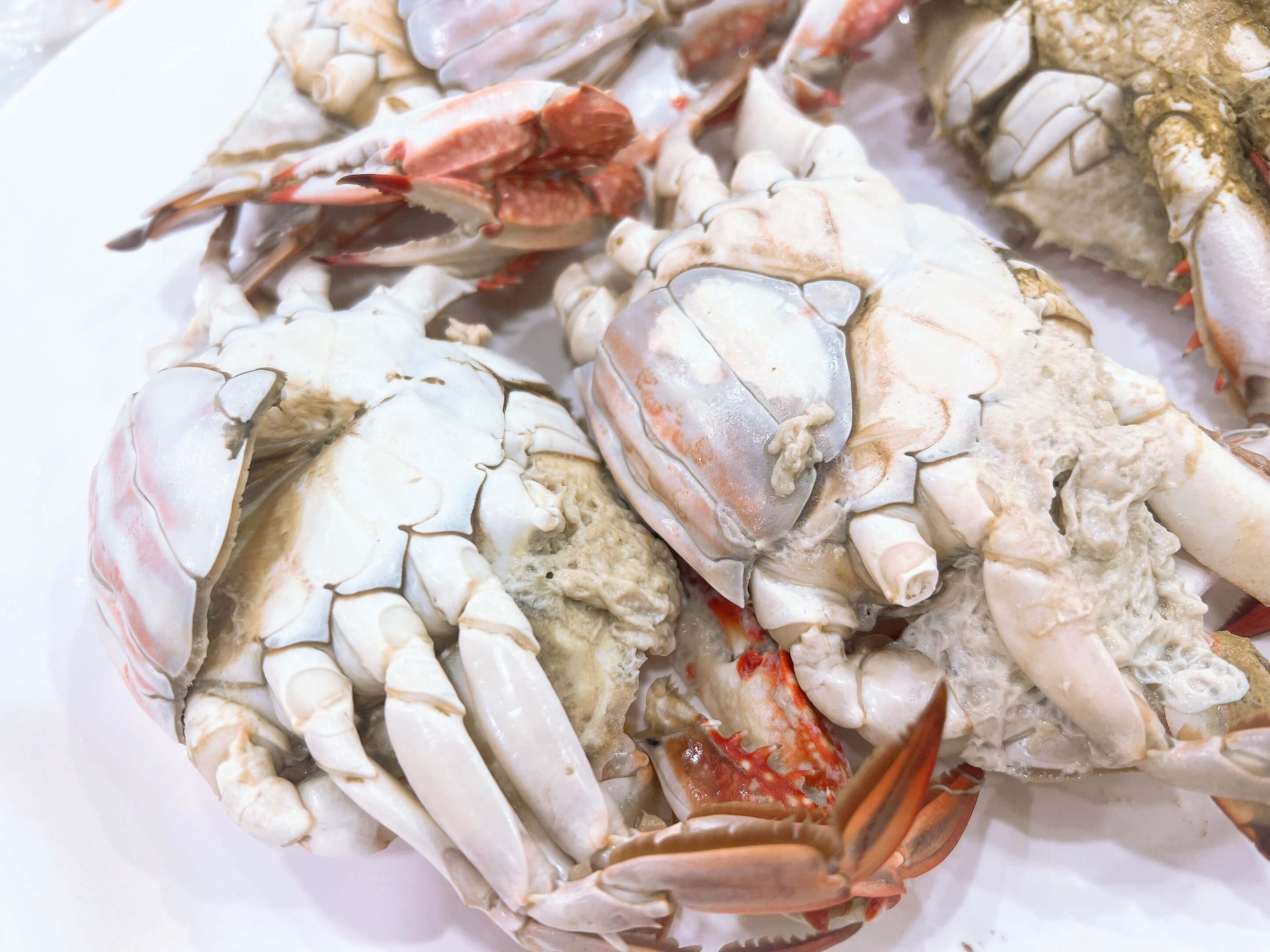 경동시장 다퍼줘 횟집 관련 사진