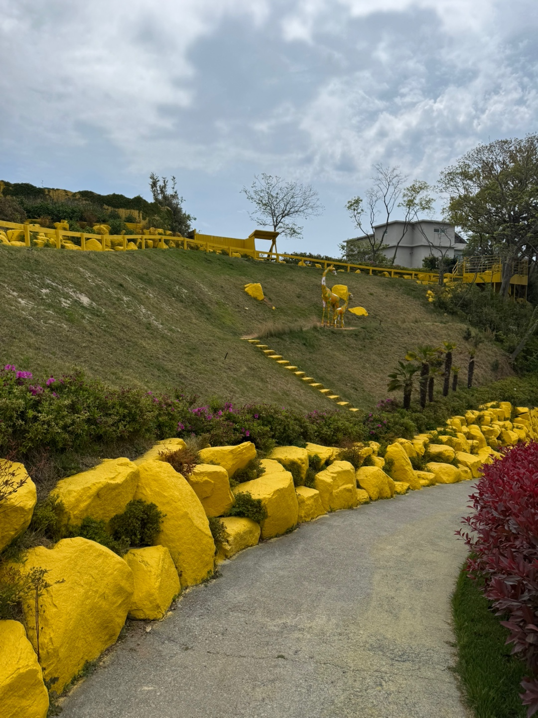 노랑버덩 이미지