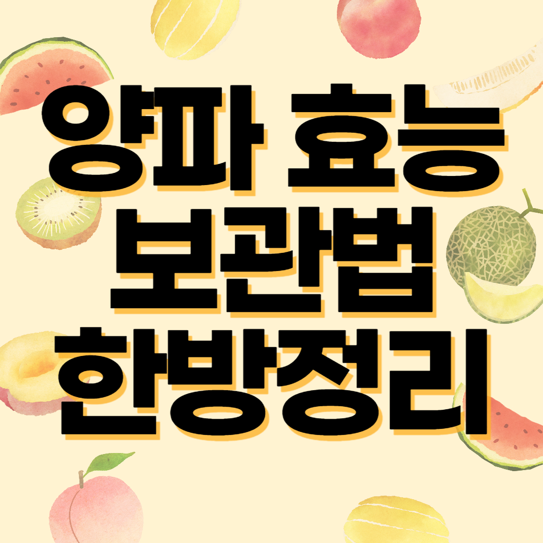 양파 효능 보관법 한방정리