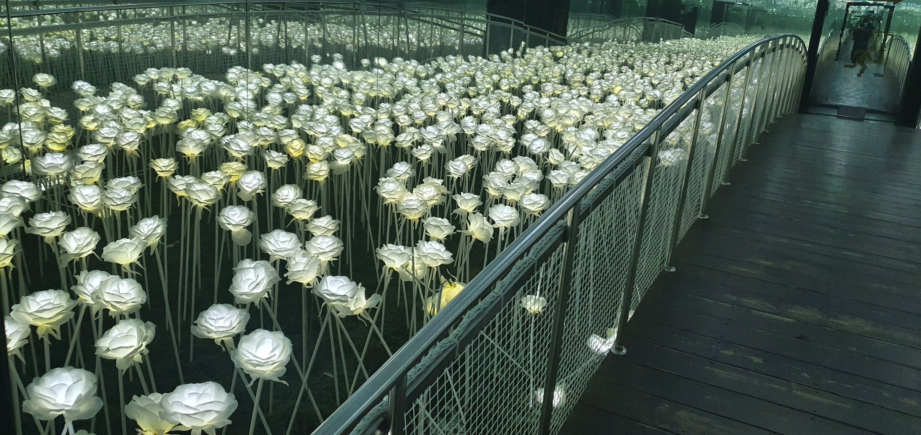 제주 박물관은 살아있다