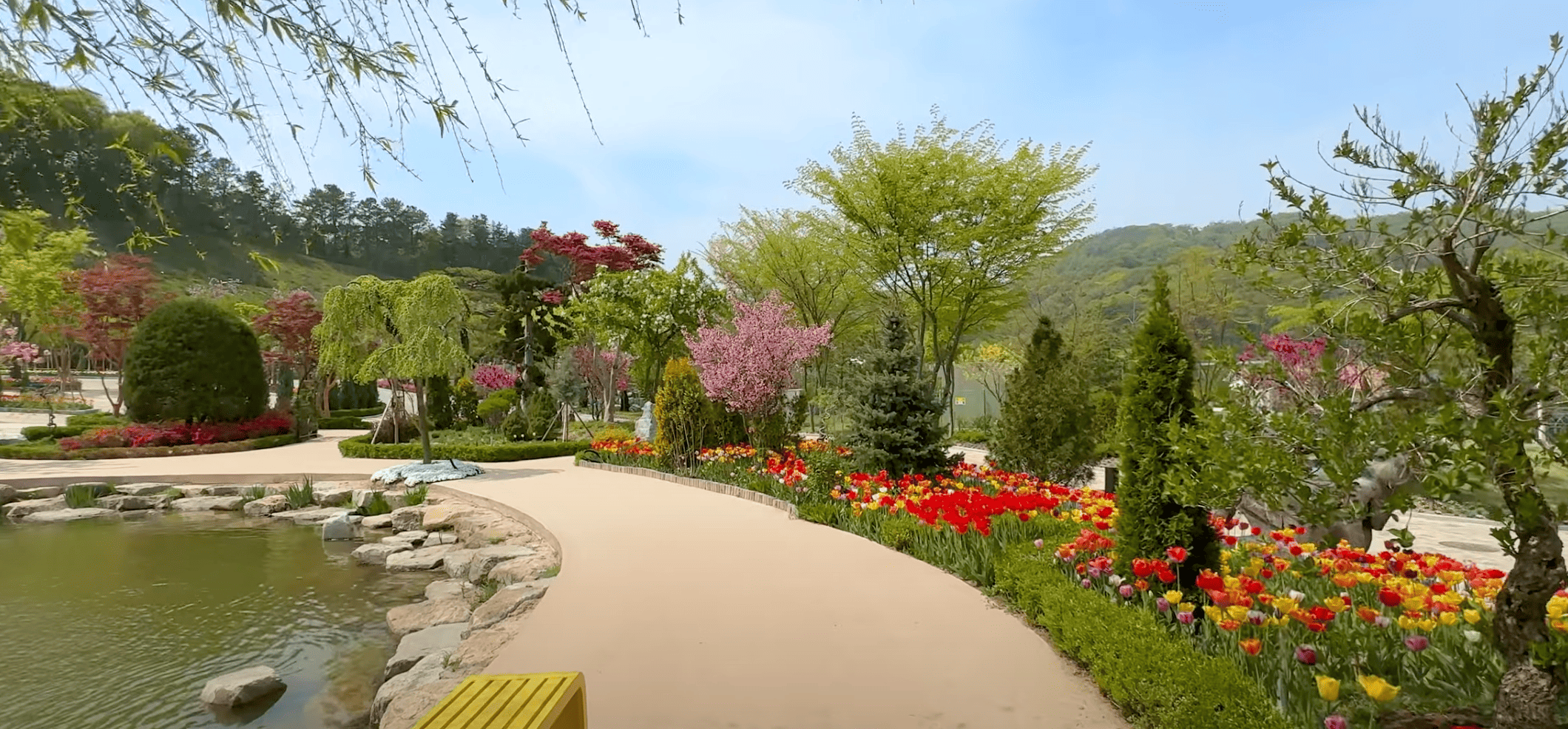 용인 자작나무 숲 정원 가는길