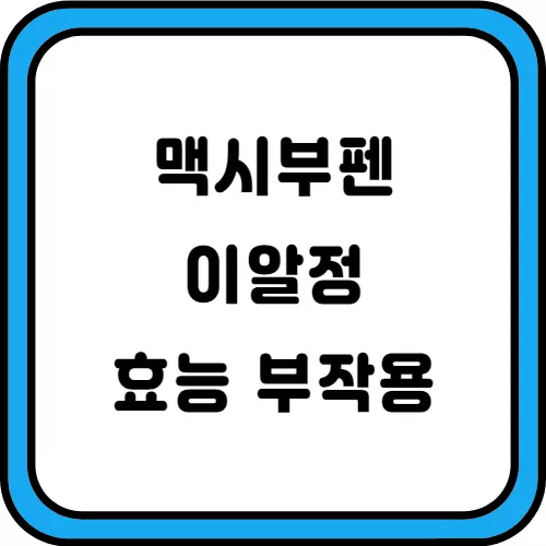 맥시부펜-이알정-썸네일