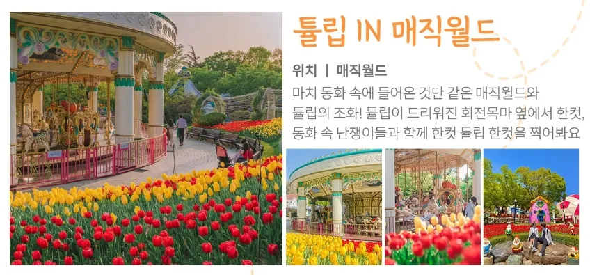 이월드 - 튤립 IN 매직월드