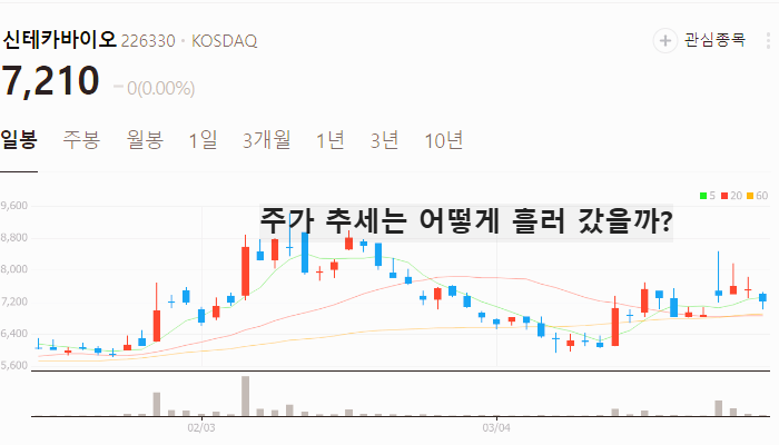 생성형 의료 AI 관련주 대장주 TOP5