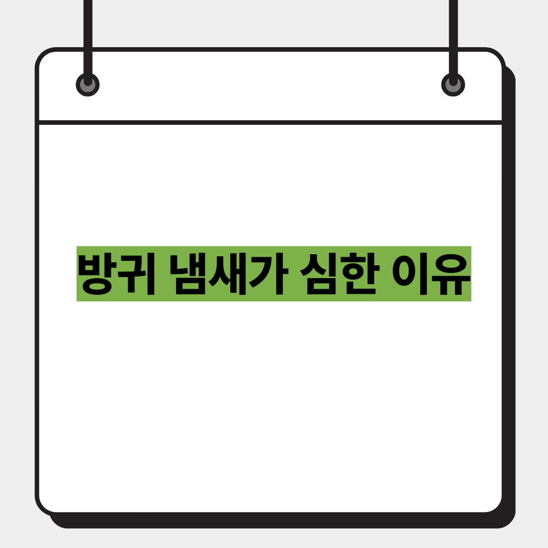 방귀 냄새가 심한 이유