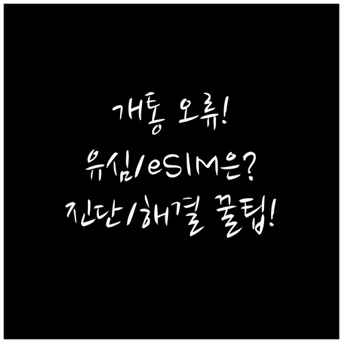 휴대폰 유심 eSIM 개통 안 될 때..