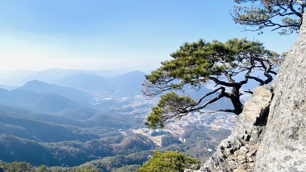 서대산 등산코스 지도
