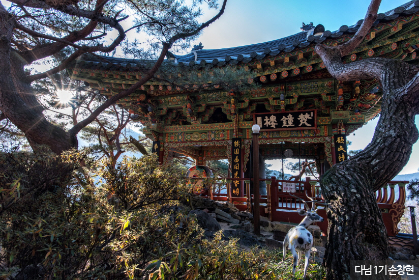 함양 가볼만한곳 베스트10