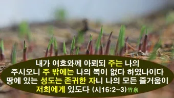시편 37장 4절 묵상 - 또 여호와를 기뻐하라 그가 네 마음의 소원을 네게 이루어 주시리로다_17