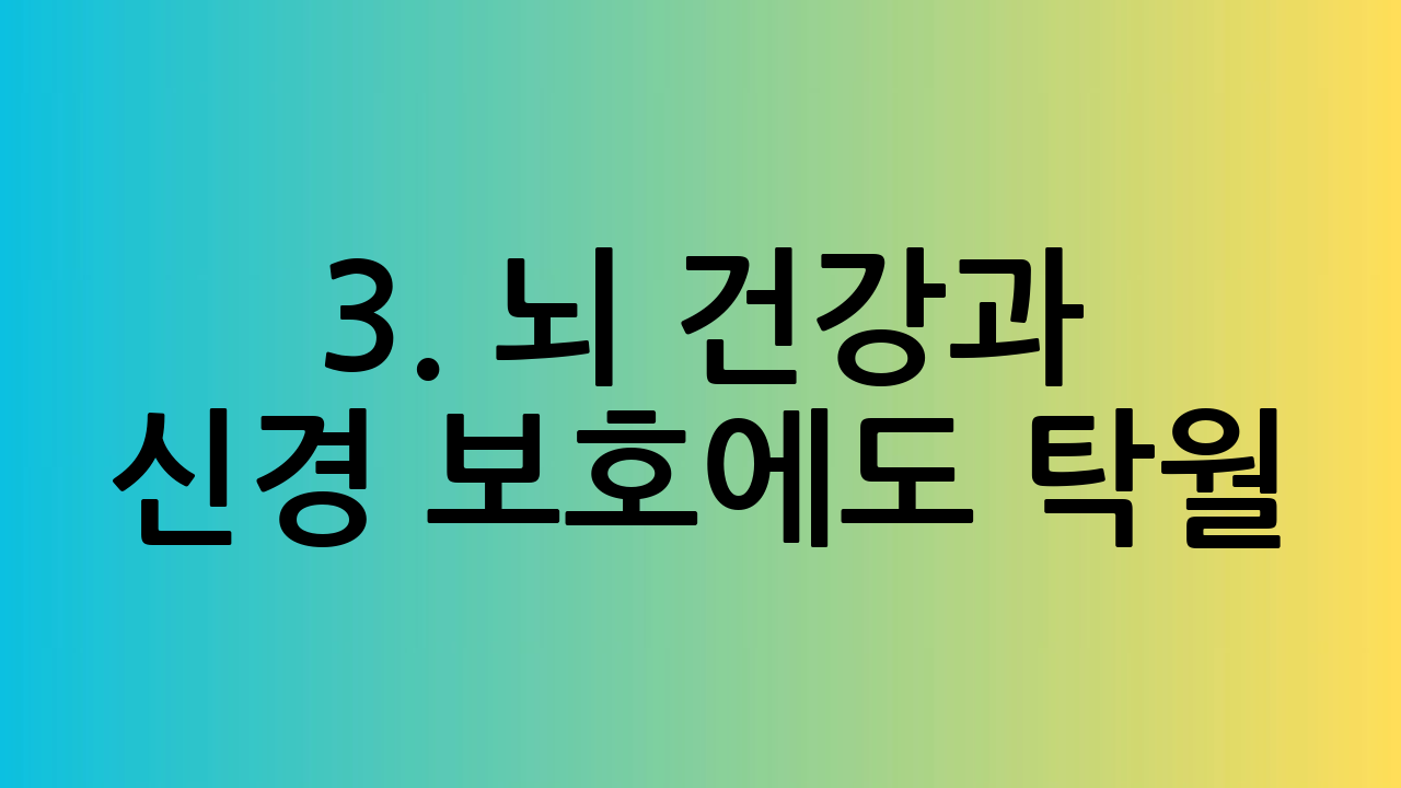 3. 뇌 건강과 신