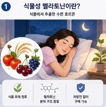식물성멜라토닌-효과-부작용-추천-제품-종류