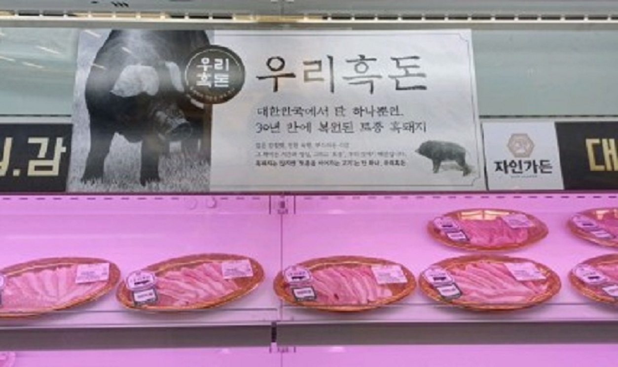 한국기행-경산-토종돼지