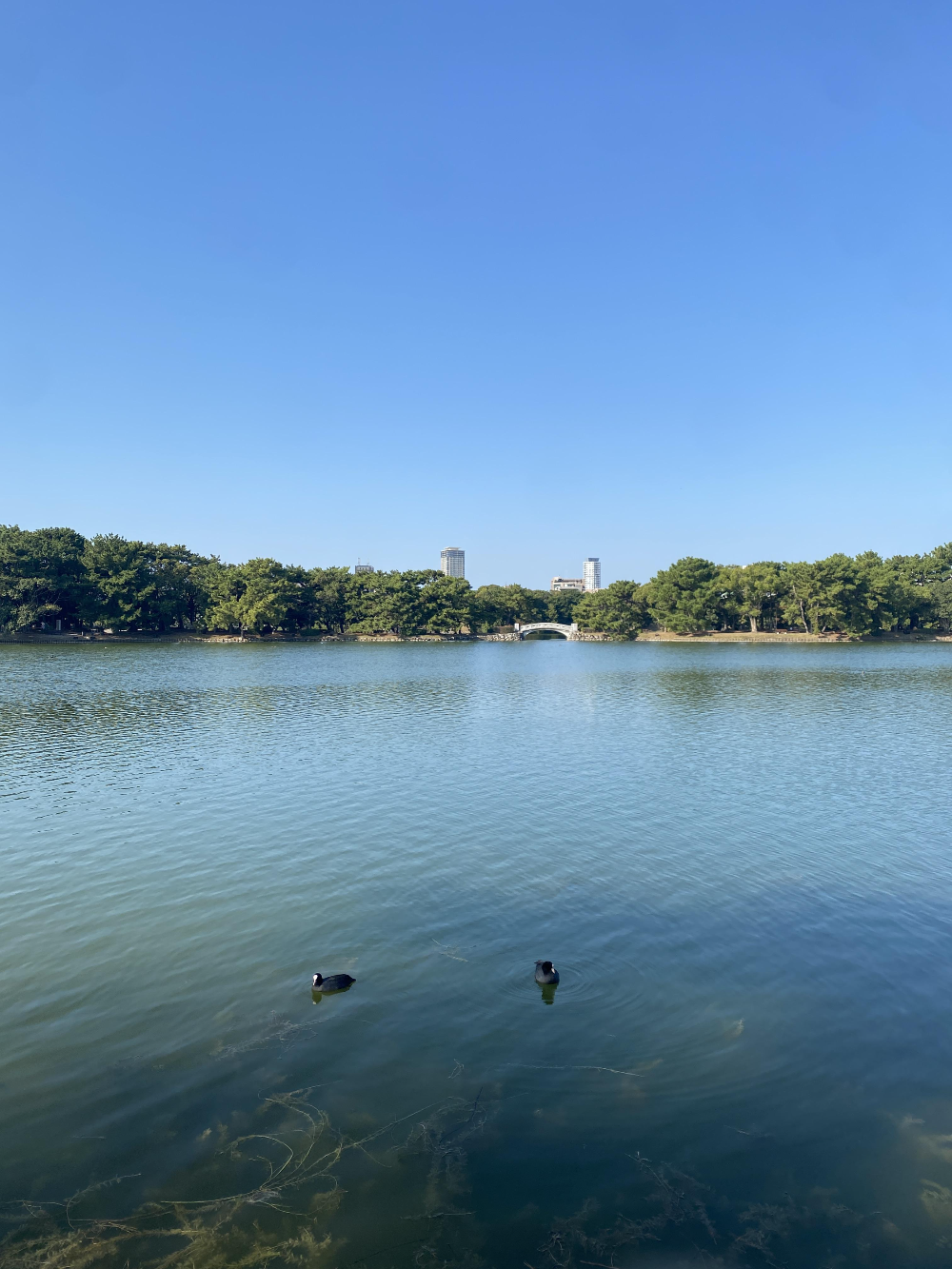 후쿠오카 오호리 공원