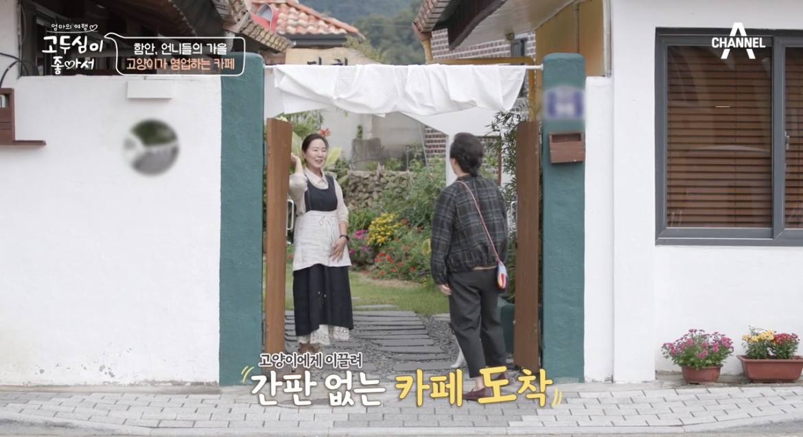 고두심이좋아서고양이가영업하는카페