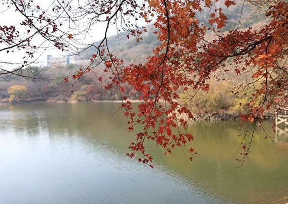 진해내수면환경생태공원