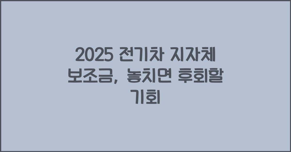 2025 전기차 지자체 보조금