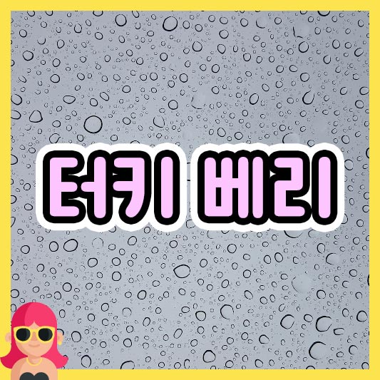 섬네일 터키 베리