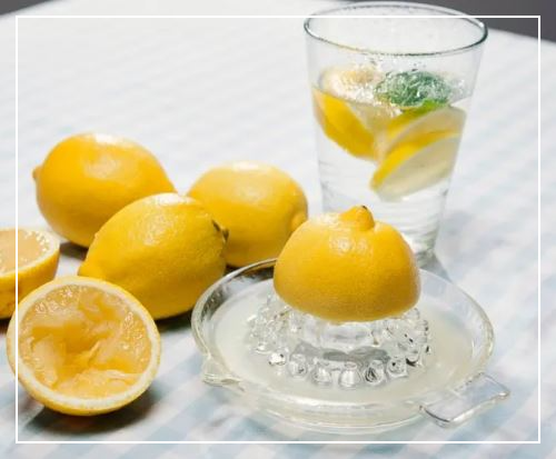 레몬물-효능