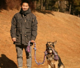 개와 늑대의 시간