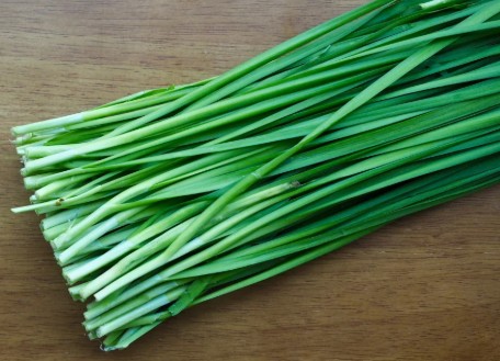 제철 부추 정력에 좋을까? 부추 효능 및 부작용, 보관법