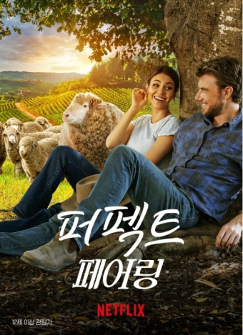 (퍼펙트 페어링) 영화 공식 포스터